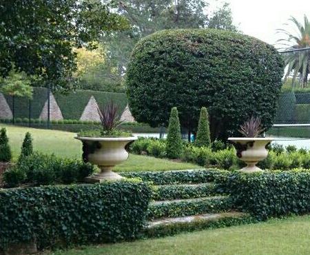 Greenway Gardens steps with topiary