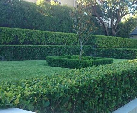 Hedging by Greenway
